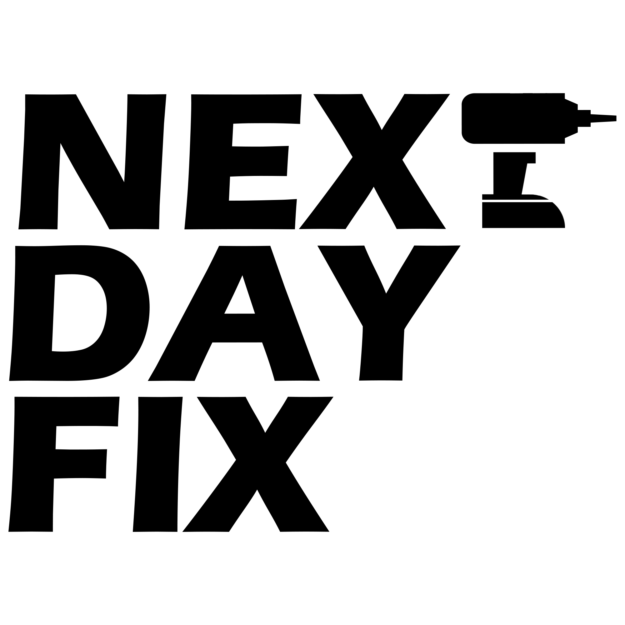 Next Day Fix